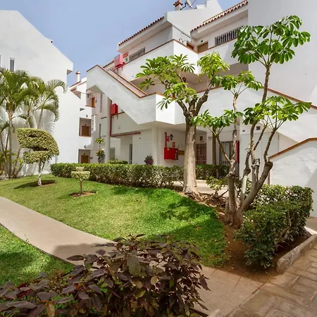Marsureno Los Cristianos (Tenerife)